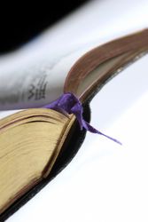 �PAROLE IN VOLO�