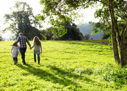 Qualit� e condizioni del verde urbano a Vigevano e proposte di miglioramento