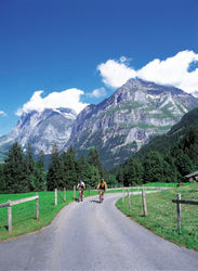 Tour delle cinque nazioni