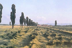 L'architettura rurale della pianura piacentina