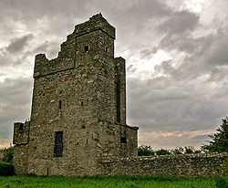 Dalla casatorre al castello