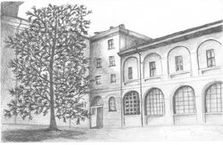 �SALUTO d�ESTATE�