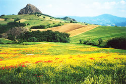 Comunit Montana dellAppennino piacentino di Bobbio (Pc) - Valorizzazione dei percorsi naturalistici nella Valle del Trebbia