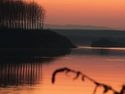 "Concorso a premi per la miglior proposta ideativa per la realizzazione di un punto panoramico sul fiume Po"