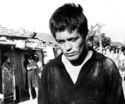 di Pier Paolo Pasolini, 1961