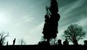 Ritorna la raccolta di poesia pi amata del mondo nella nuova traduzione di Luigi Ballerini e con le immagini video di Charles Traub (Oscar Mondadori)